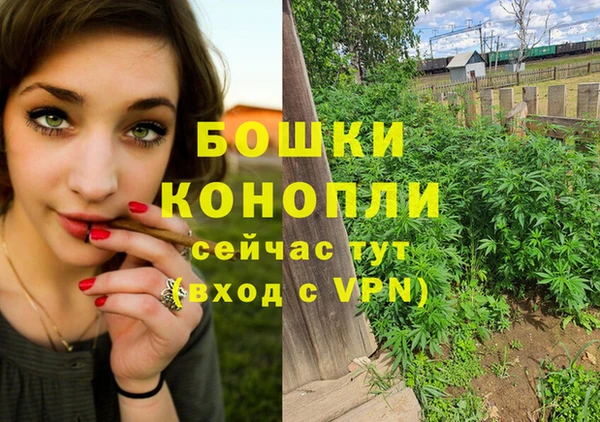 прущие грибы Балабаново