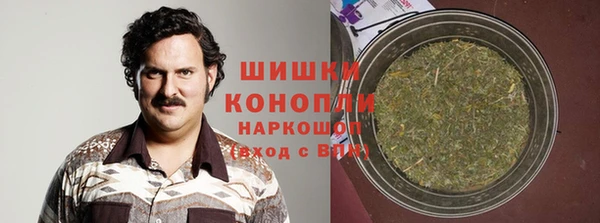 прущие грибы Балабаново