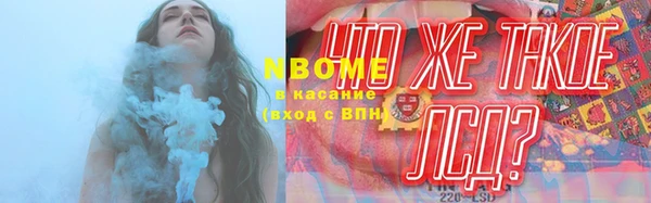 прущие грибы Баксан