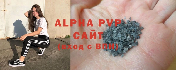 прущие грибы Баксан