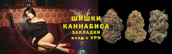 прущие грибы Баксан