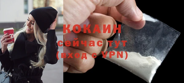 прущие грибы Баксан