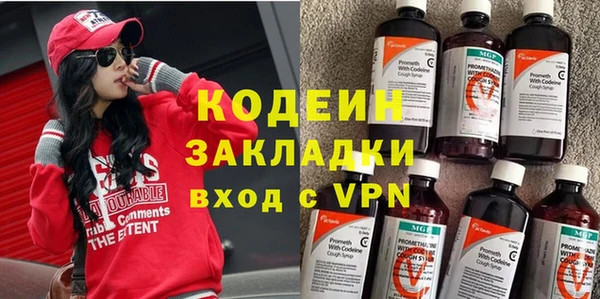 прущие грибы Балабаново