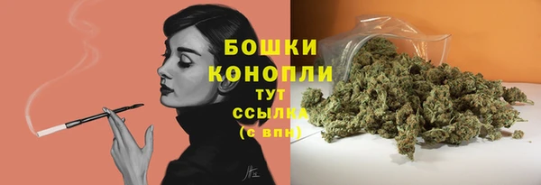прущие грибы Балабаново