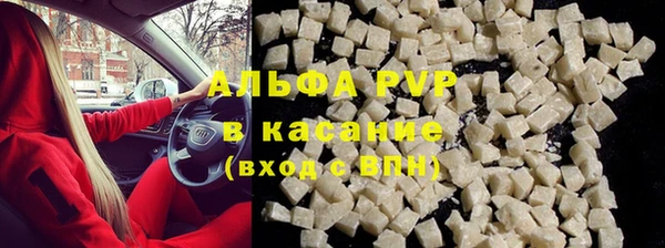 прущие грибы Балабаново
