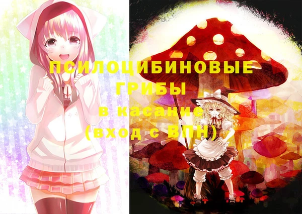 прущие грибы Балабаново