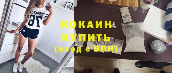 прущие грибы Балабаново