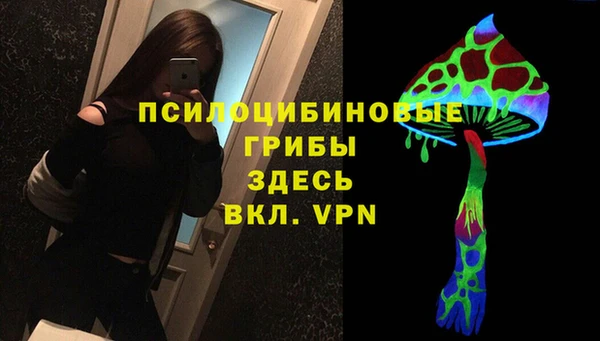 прущие грибы Балабаново