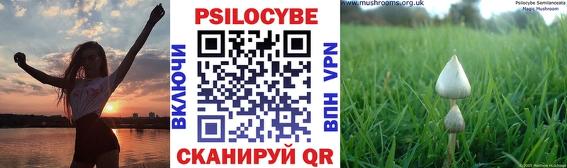 Псилоцибиновые грибы Cubensis  Мышкин 